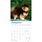 Pomeranians | 2026 12 x 24 Inch (Hanging) Monthly Square Wall Calendar | Plastic-Free